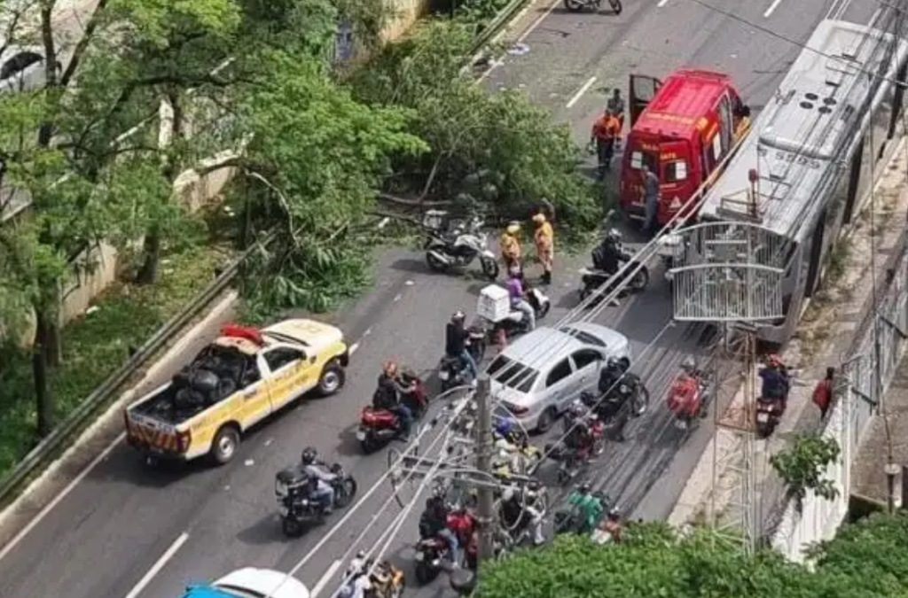 Árvore cai em cima de motociclista próximo da Ponte do Morumbi