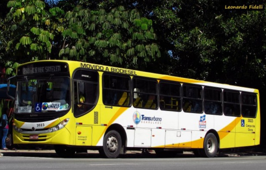 Viação Campo dos Ouros