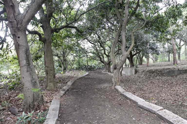 parque da independência