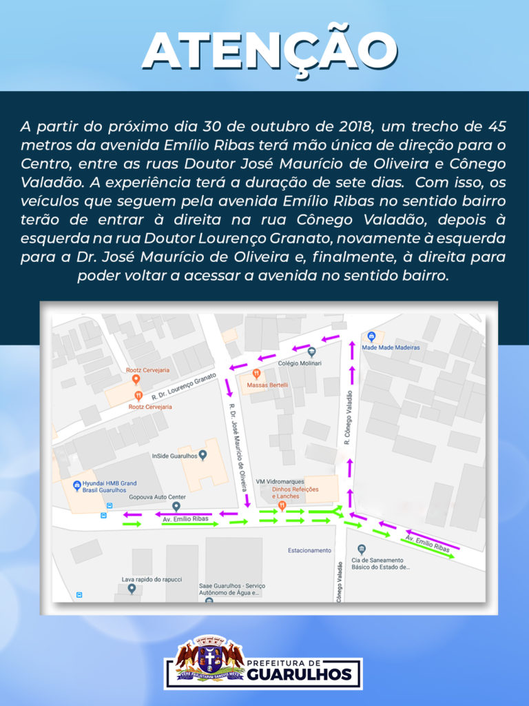 avenida emílio ribas guarulhos