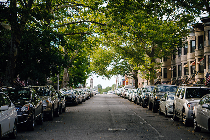 Importância da arborização urbana