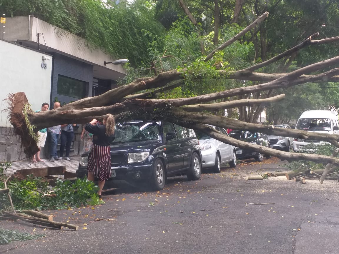 Rua Loureiro da Cruz Aclimação