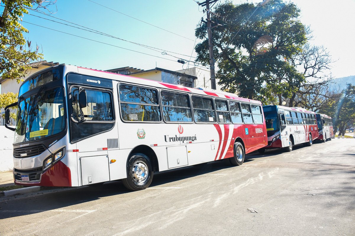 900 Maria Luiza Jardim Muriano