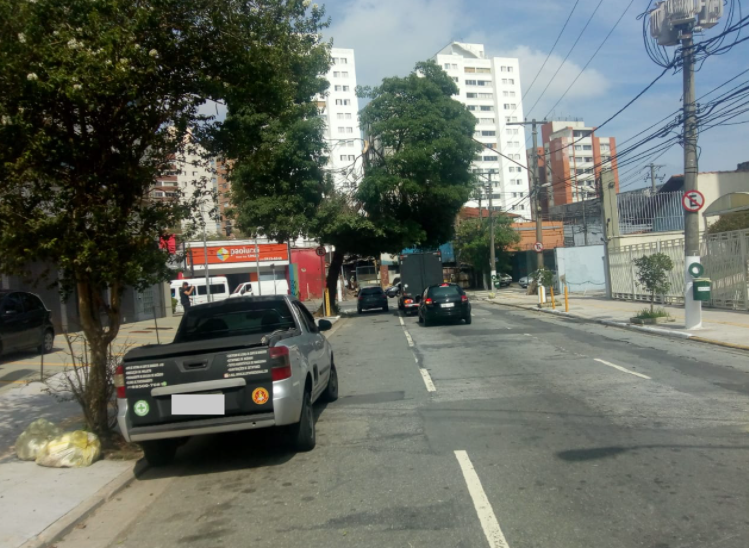Árvore no Butantã
