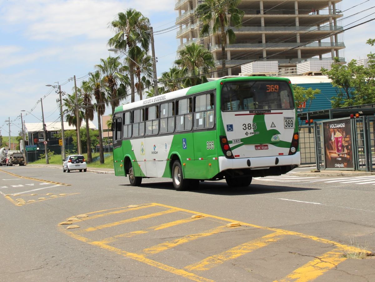 Bus Verde