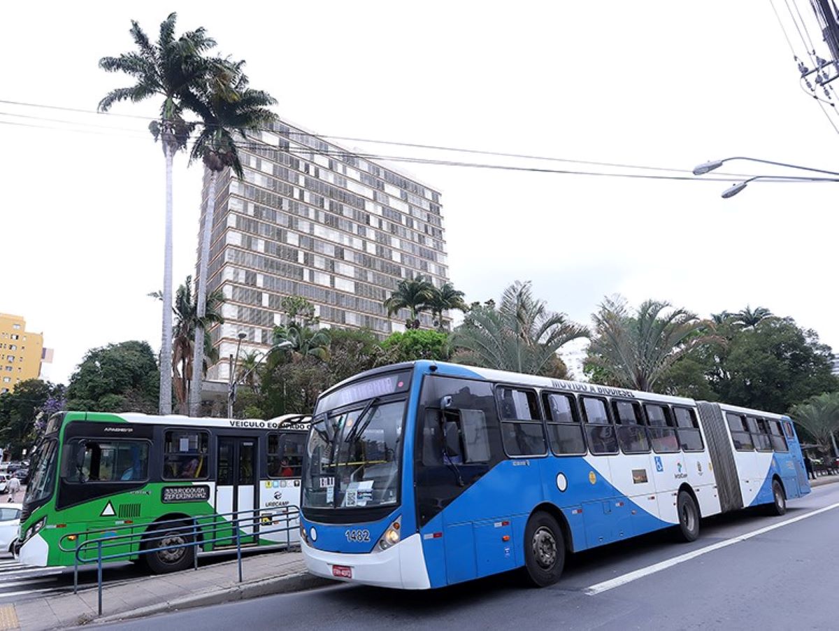 Dois ônibus