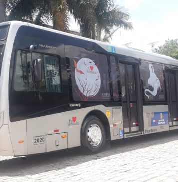 Greve de ônibus afeta parte da Zona Norte de São Paulo Viação Sambaíba