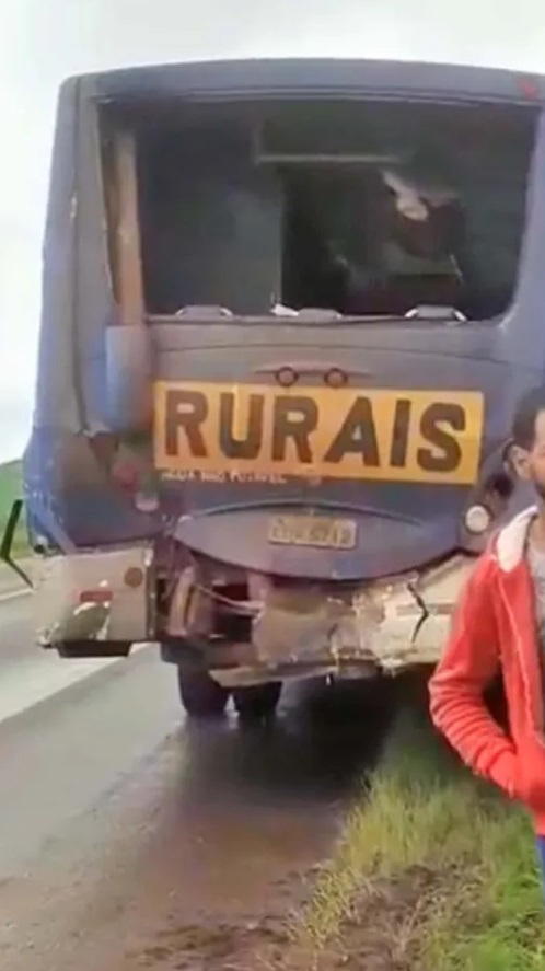 Ônibus São