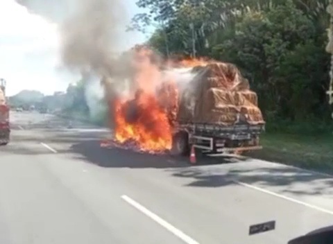Caminhão fogo papel