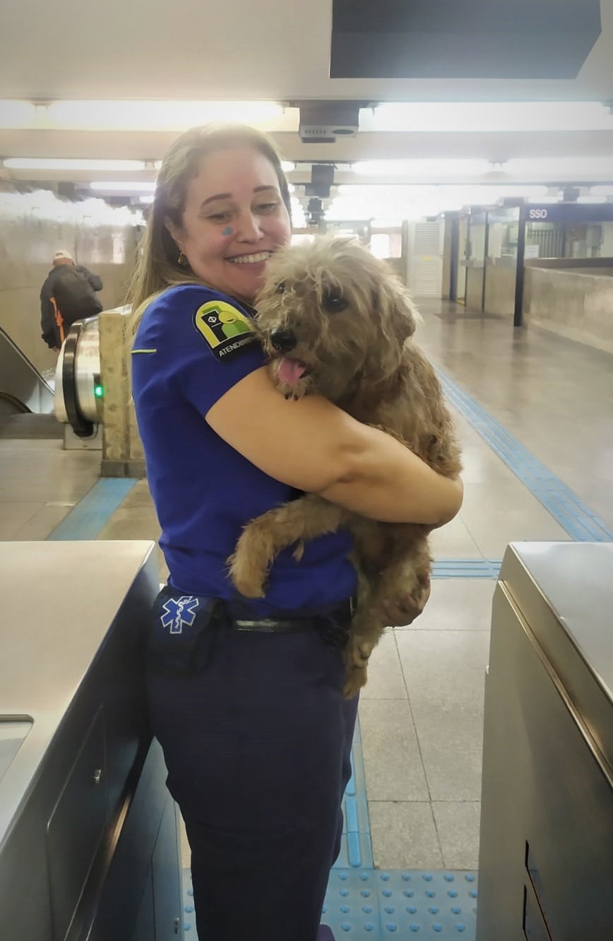 cãozinho metrô