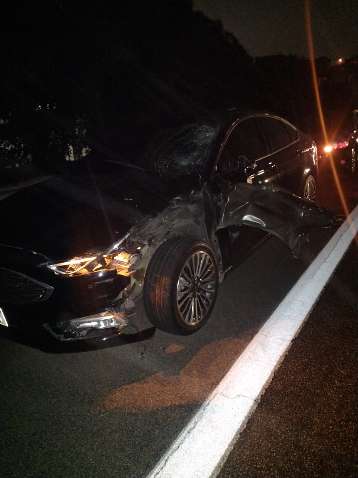 ford fusion diadema