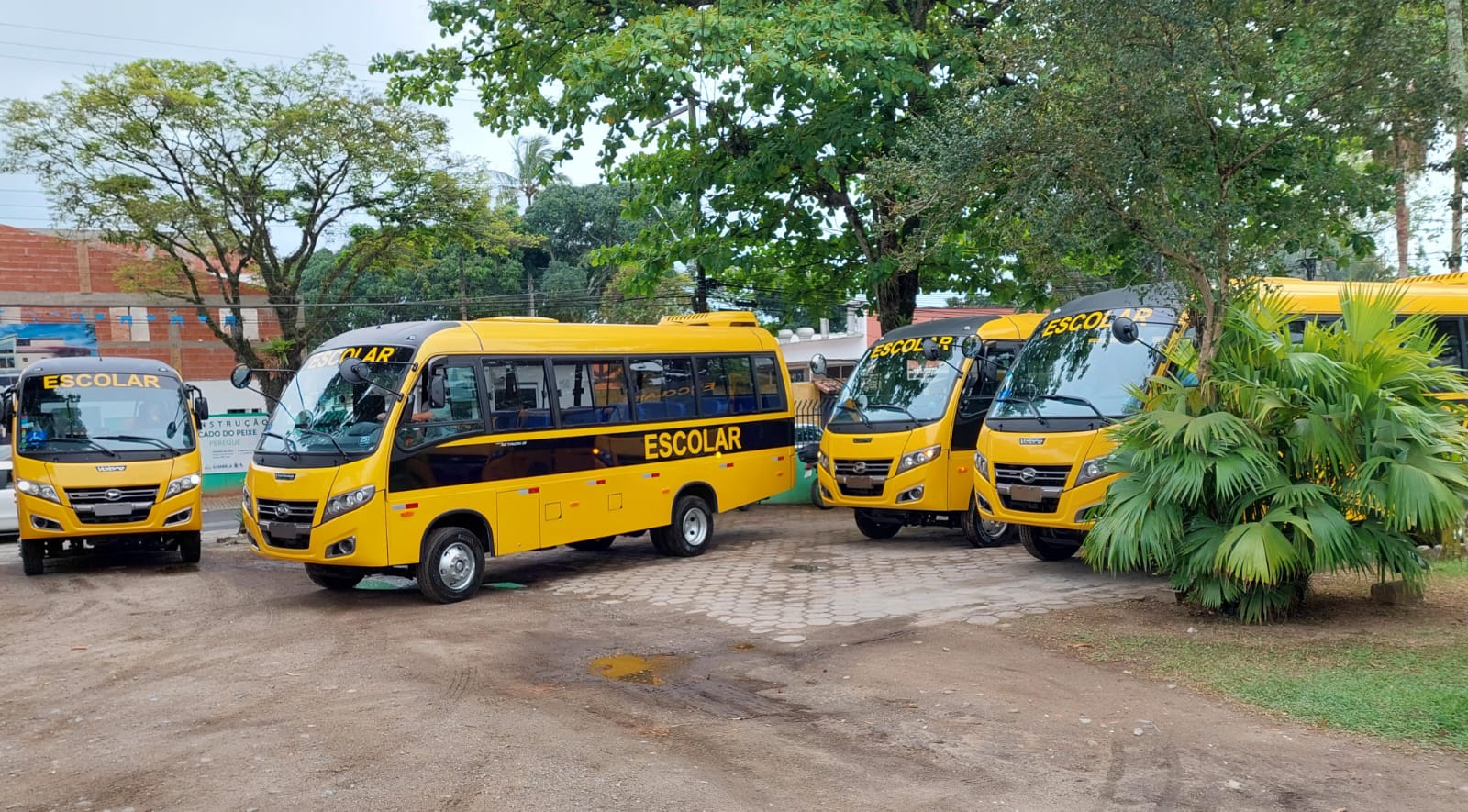 ônibus escolar