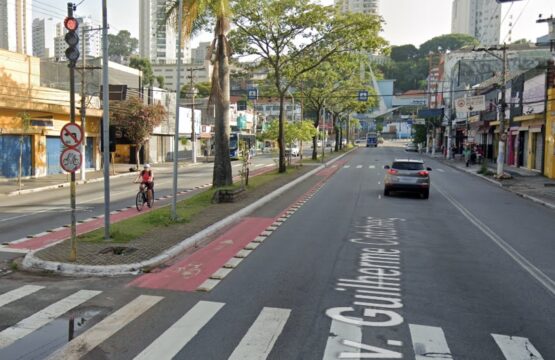 Avenida Guilherme Cotching