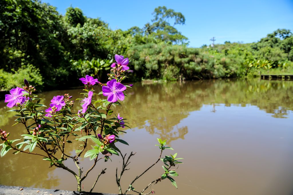 Parque Ecológico do Guarapiranga