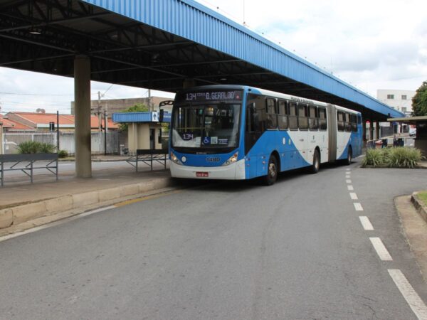 134 Consulta pública campinas novos ônibus linha 245