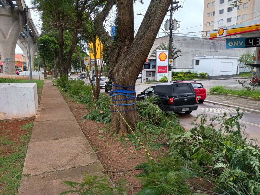 canteiro anhaia mello