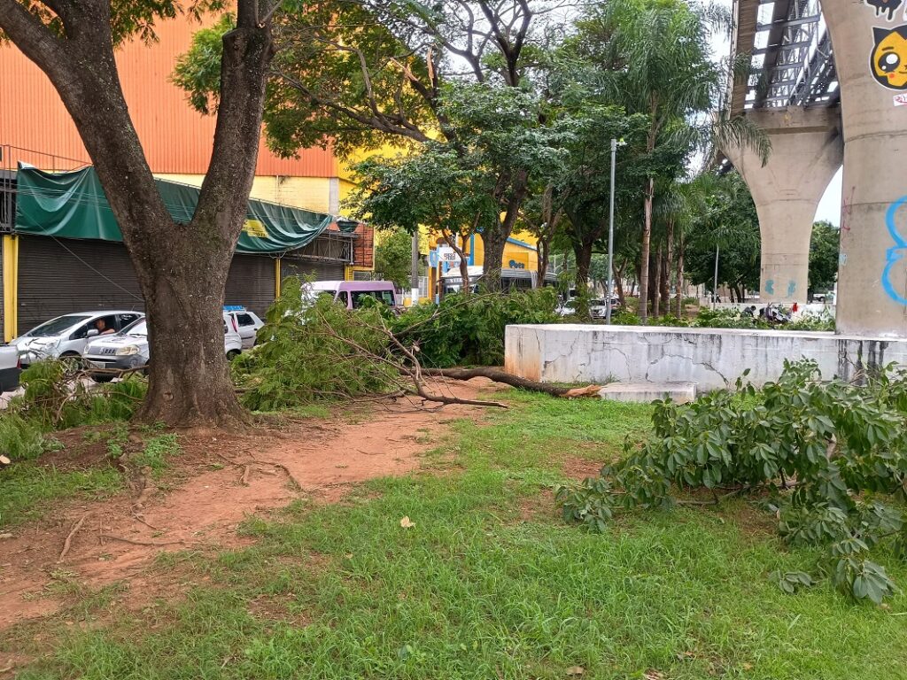 galhos anhaia