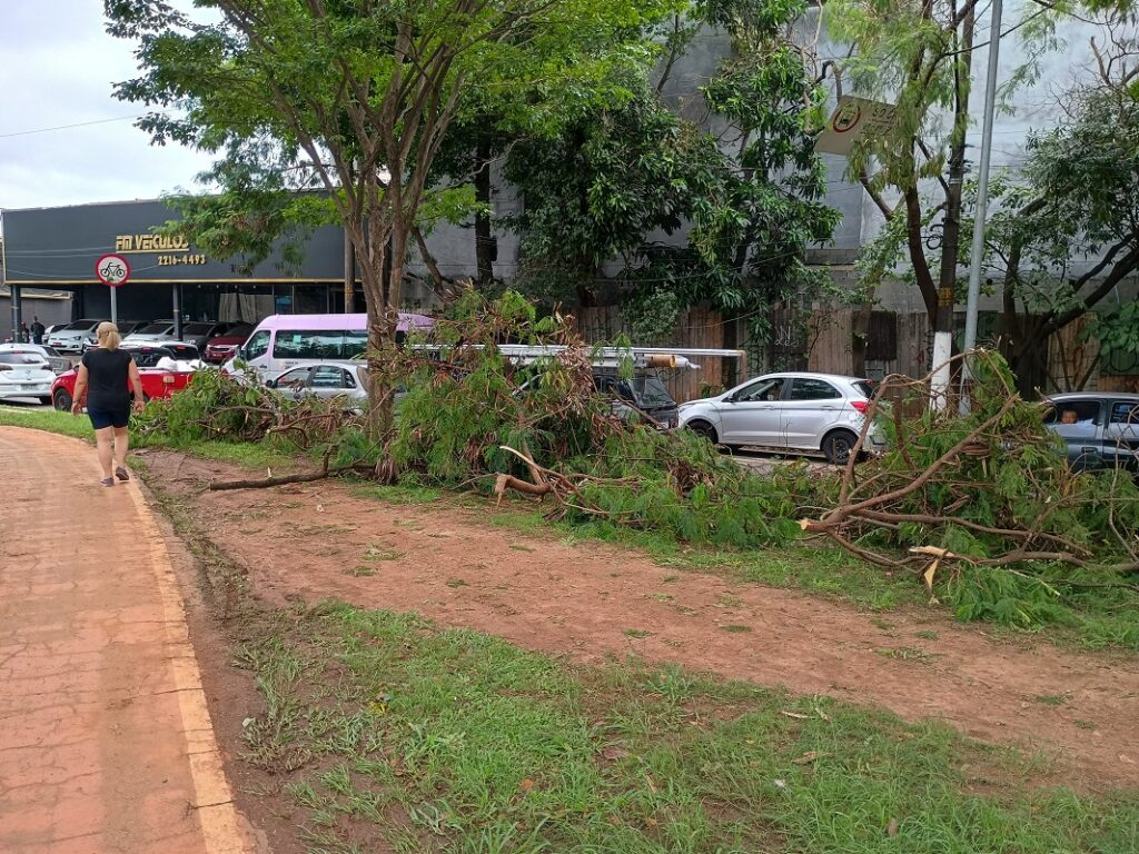 galhos gramado