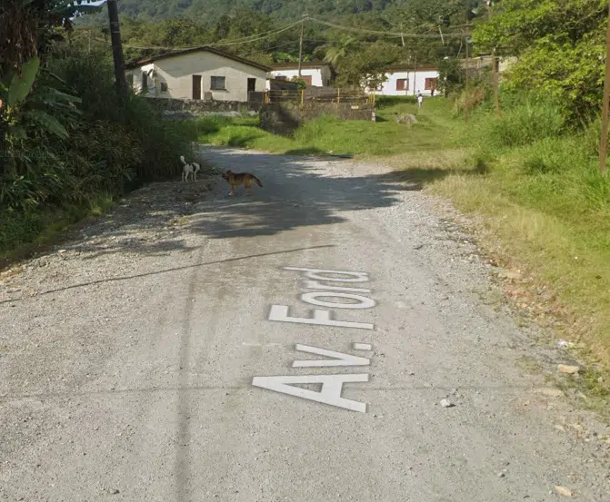 Avenida Ford