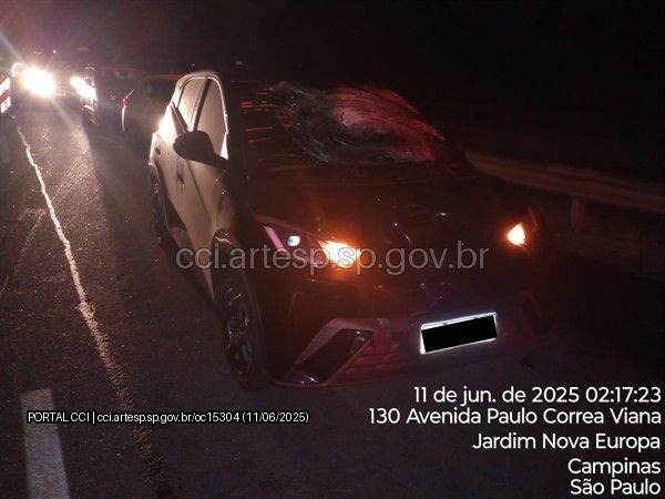 Automóvel BYD Dolf rodovia Anhanguera