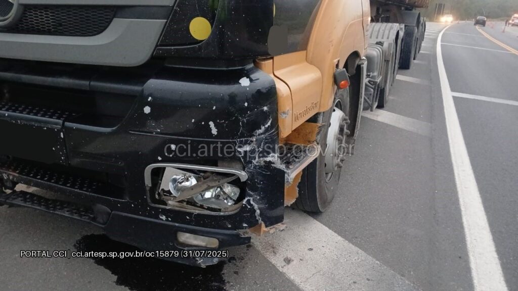 Caminhão Mercedes-Benz rodovia Padre Manoel da Nóbrega