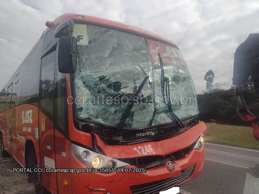 Ônibus na rodovia castelo branco