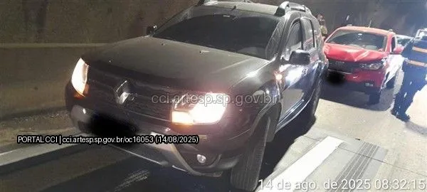 Automóvel Renault Duster