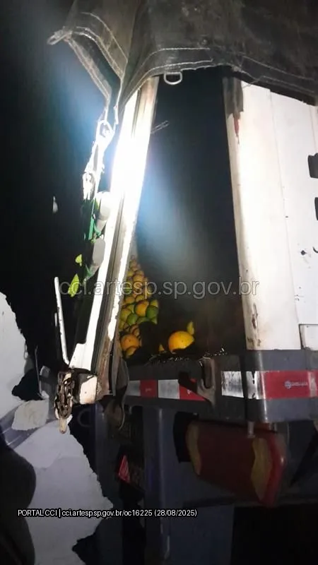Carreta Scania 360 sp-310