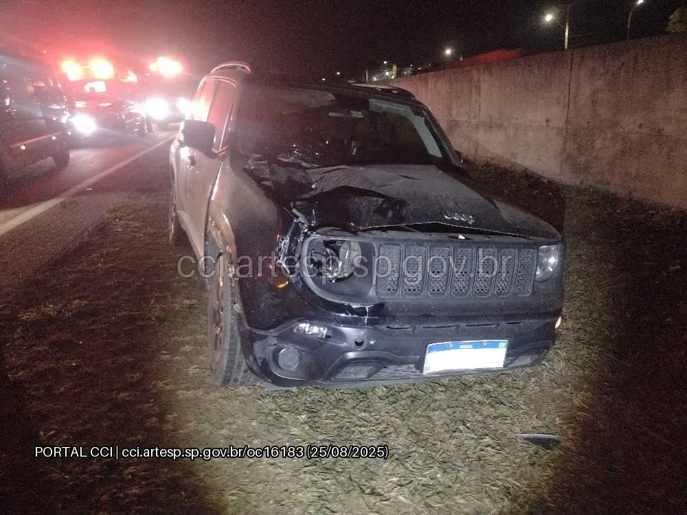 Jeep Renegade sp-075