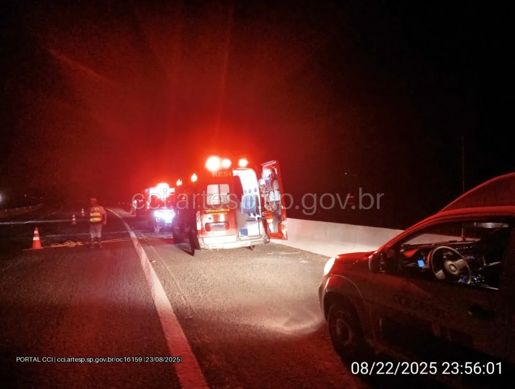 Sinalização rodovia castelo branco