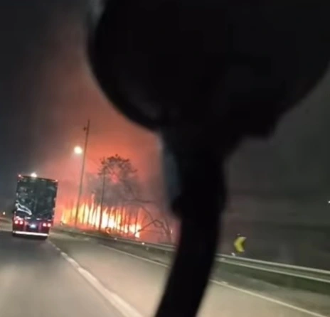 incêndio vegetação rodovia fernão dias