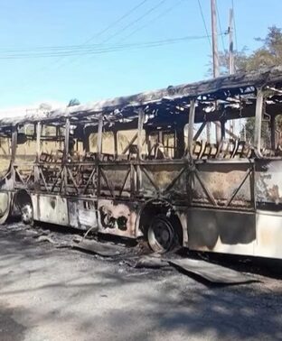 ônibus escolar