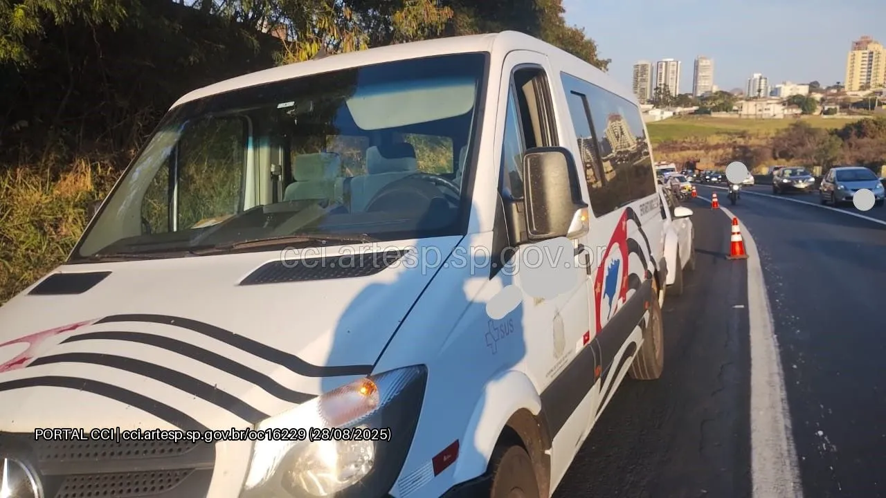 Van Sprinter sp-294