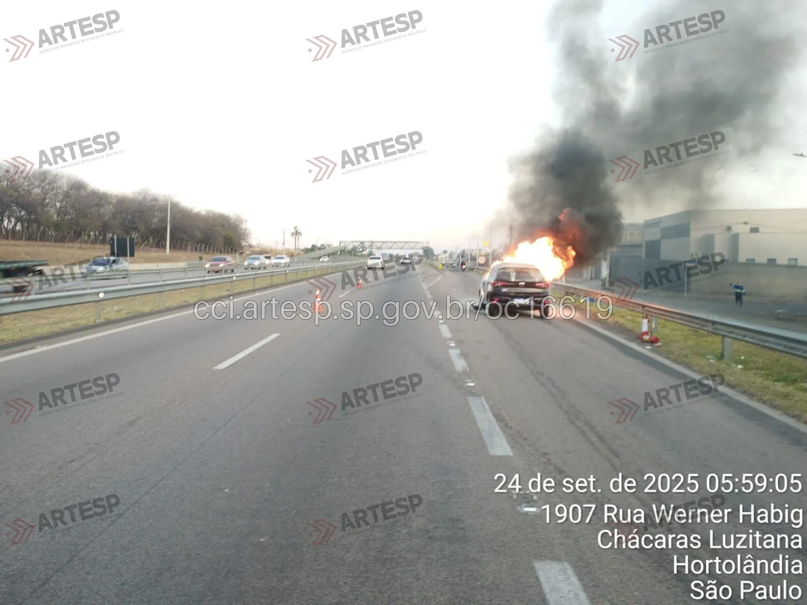 Automóvel Argo sp-101