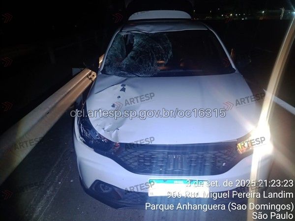 Automóvel Fiat Argo rodovia anhanguera