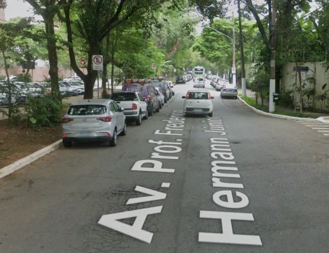 Avenida Professor Frederico Hermann Júnior