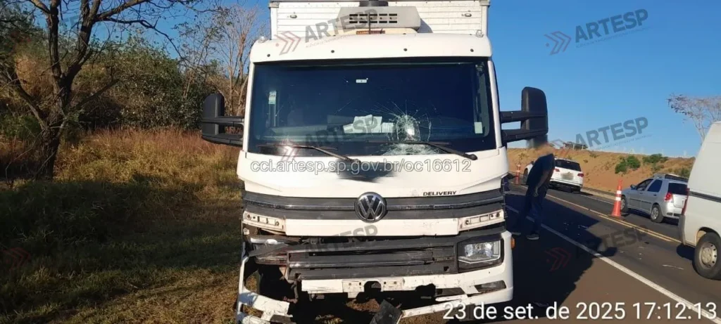 Caminhão VW 11.180 Delivery