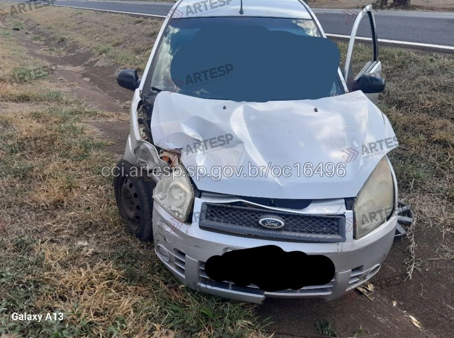 Ford Fiesta sp-333