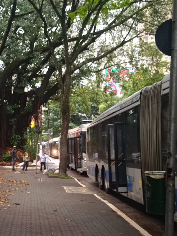 Queda de árvore na Avenida Sumaré Perdizes