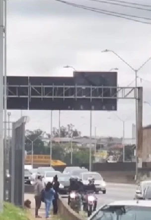 cachorro ajuda rodovia dutra