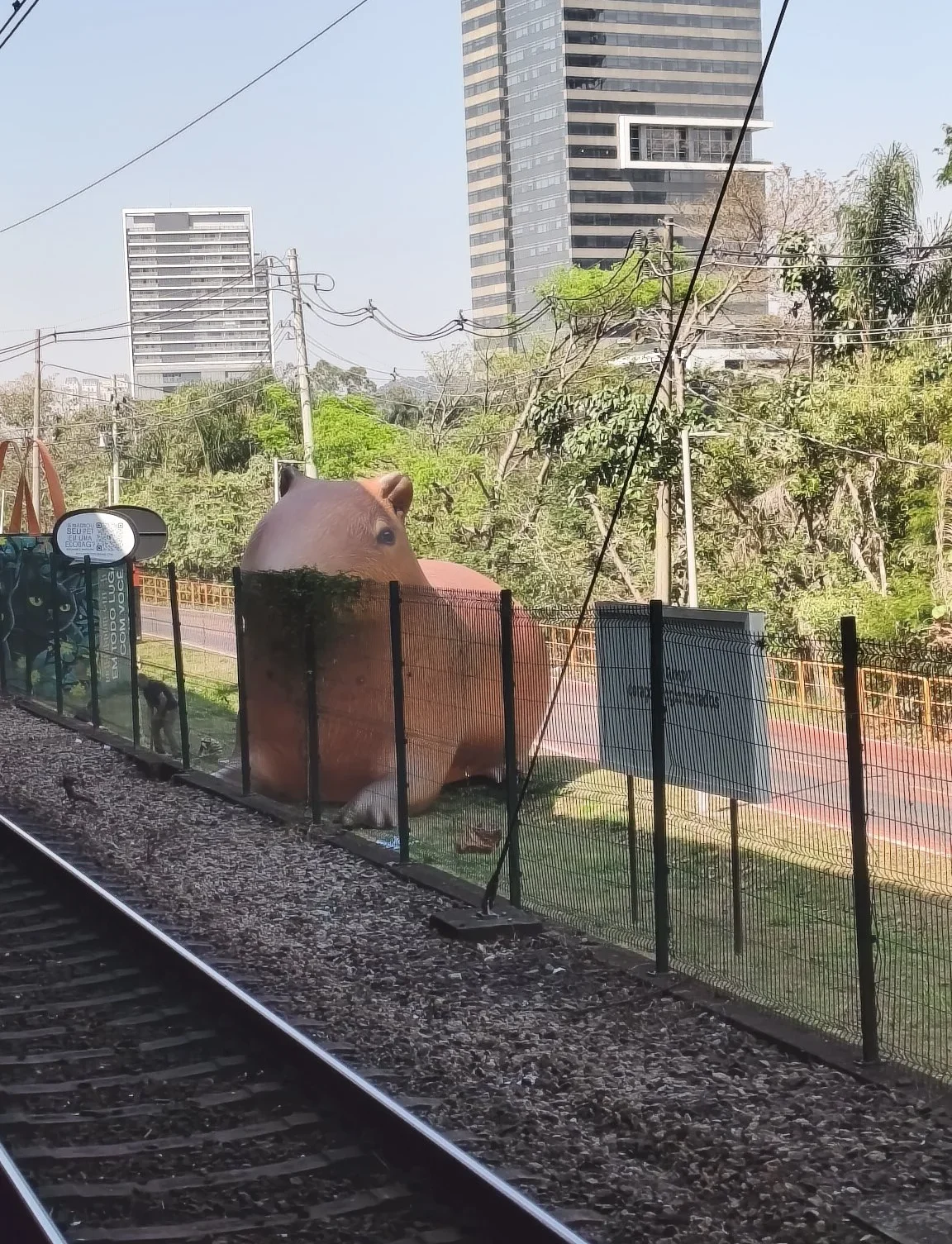capivara gigante