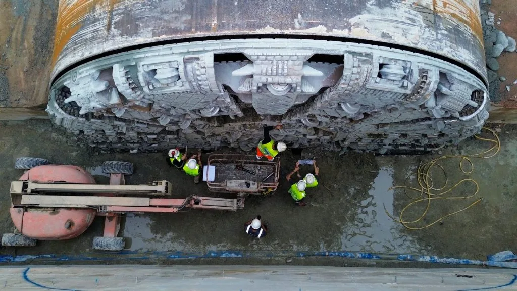 tatuzão linha 19-celeste obras