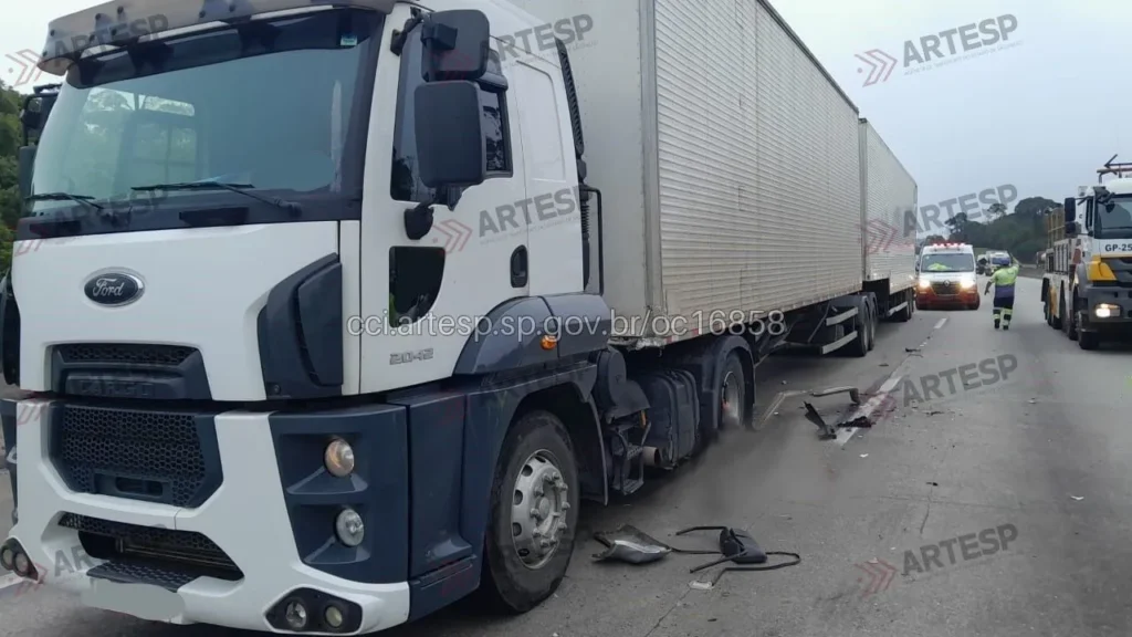 Bitrem Ford Cargo