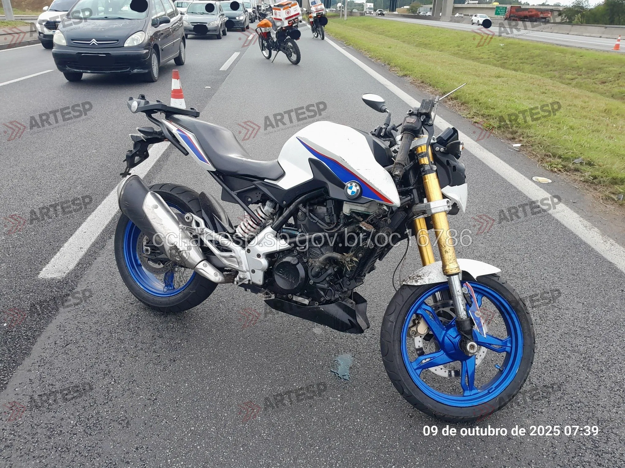 Moto BMW G310 rodovia Ayrton Senna