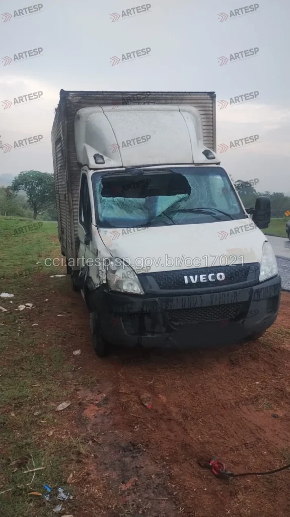 Utilitário Iveco Daily sp-310