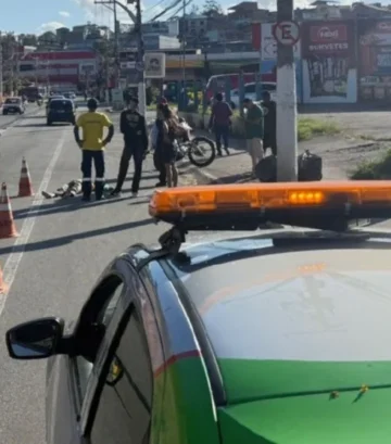 estão na Avenida Rotary