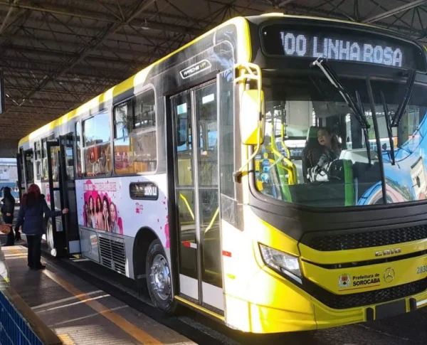 linha rosa ônibus sorocaba