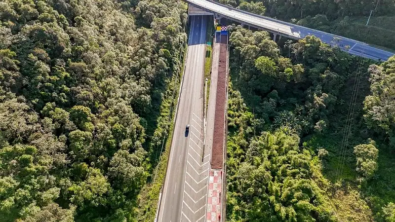 Área de escape da Régis Bittencourt em Miracatu