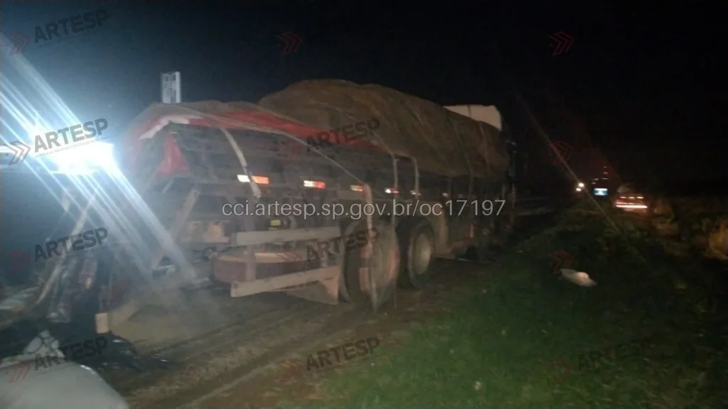 Caminhão Scania P310 em Aramina