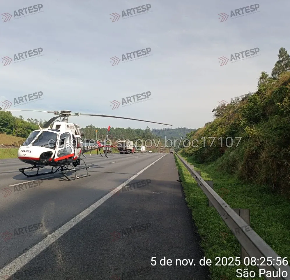 Imagem do Águia no local